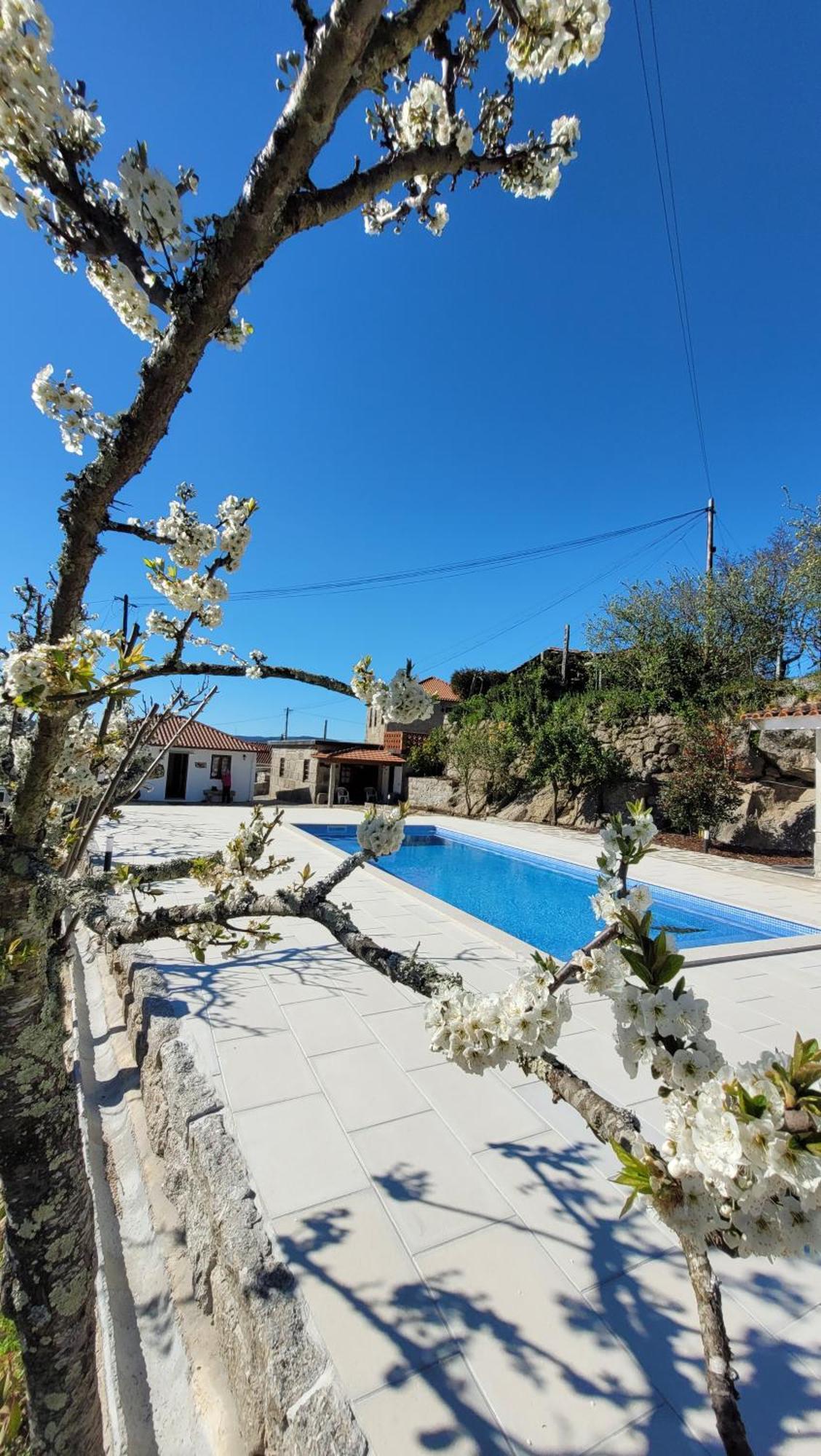 Casa Dos Strecht'S Pensionat Castelo de Paiva Eksteriør billede